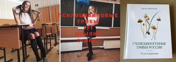 а пвп мука Армянск