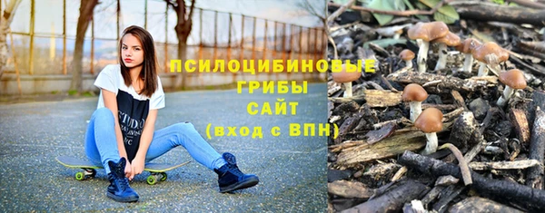каннабис Арсеньев