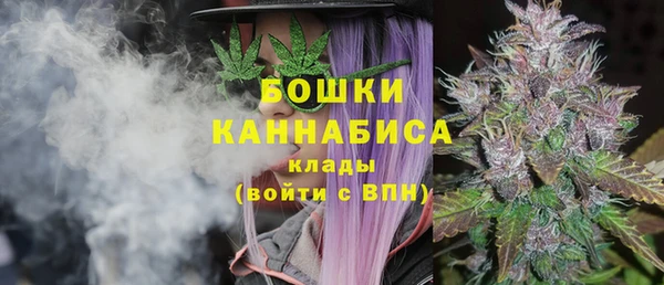 Альфа ПВП Аркадак