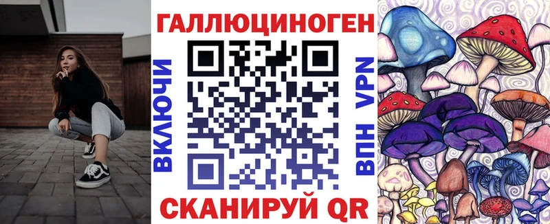 mega ONION Наволоки Галлюциногенные грибы Psilocybe